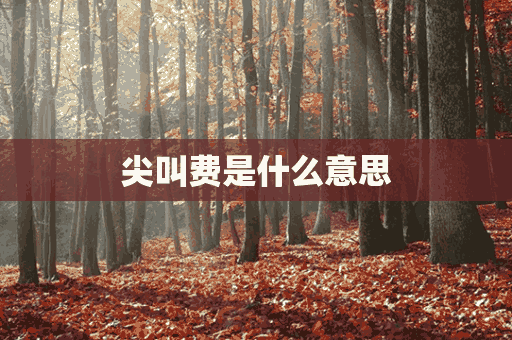 尖叫费是什么意思(尖叫是多少钱)